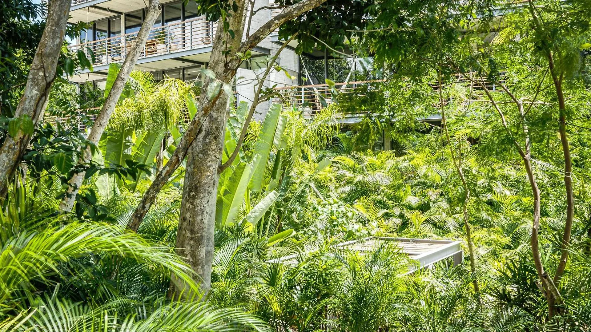 Divine 1Br Ph Tulum W Private Pool, Cenote, Gym Apartment